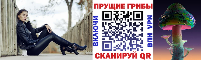 Купить  Зеленокумск  Галлюциногенные грибы Psilocybine cubensis 